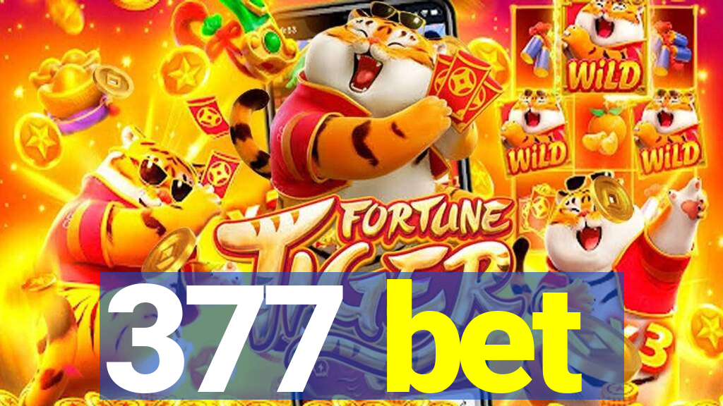 377 bet